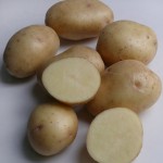 Фото 4. Продам семенной картофель разных сортов