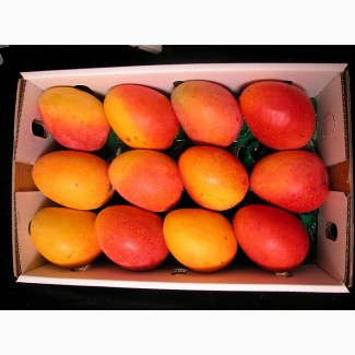 Продам манго оптом по всей Украине