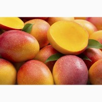 Продам манго оптом по всей Украине
