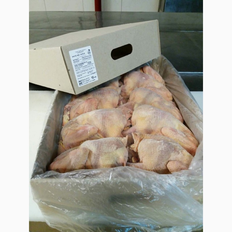 Фото 2. Продам Тушки курицы несушки (суповая) замороженные
