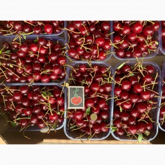 Продаємо кісточкові фрукти з саду по сезону дозрівання Врожай 2023 року