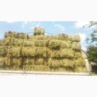 Продам сено урожая 2021