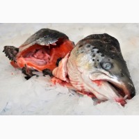 Selling Salmon Head