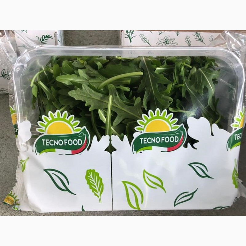 Фото 2. Продам листовые салаты и зелень (Италия)