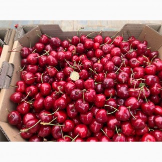 Продам черешню (ягода) оптом з власних садів у Миколаївській області