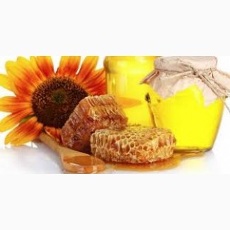 Продаю качественный, экспортный подсолнечный мед
