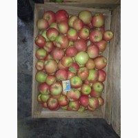 Продам яблоко Флорина 1 сорт. Оптом 2 тонны