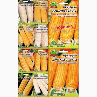 Насіння Кукурудзи пакетоване оптом відмінної якості Семена Кукурузы отличного качества