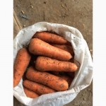 Морковь со склада