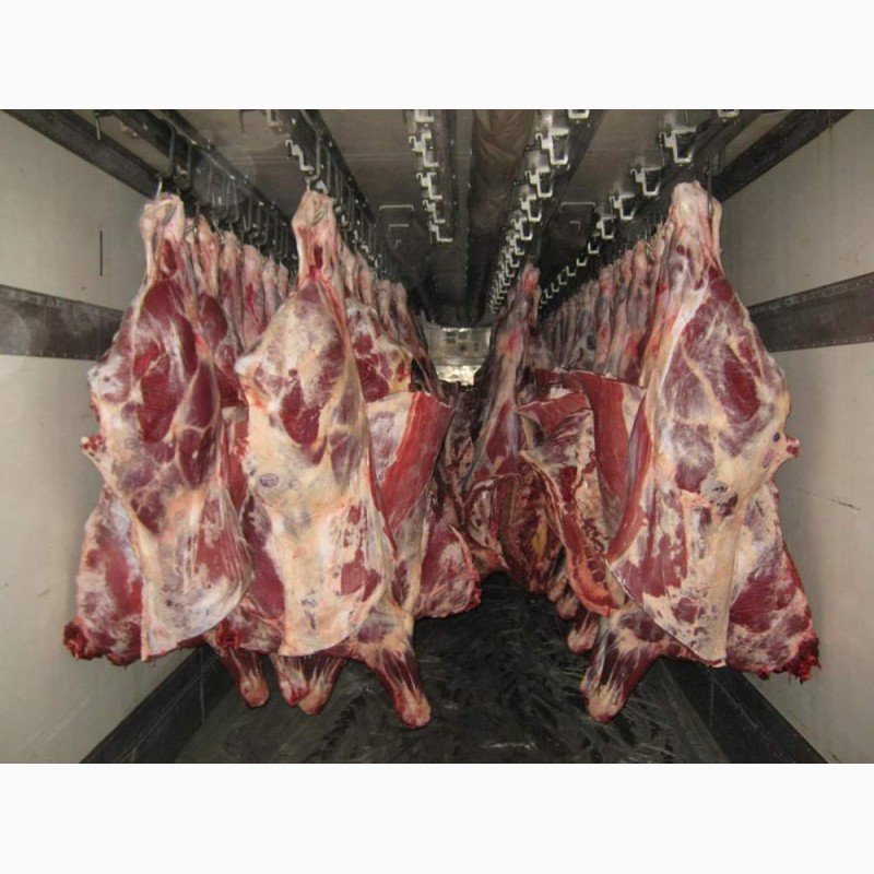 Фото 2. Продам Мясо говядины на кости