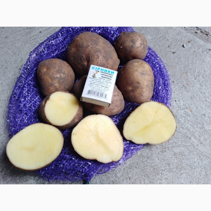Лабелла картофель характеристика отзывы. Беллами картофель характеристика. Продажа картофеля НДС.