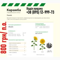Семена подсолнечника. Гибрид Карамба (103 дня)