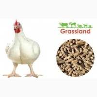 ПП НАСТКА УКРАЇНА реалізовує кормбікорм для курчат бройлерів Фініш ТМ «Grassland»