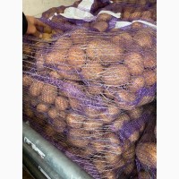 Продам продовольственный картофель, 5+ из Литвы