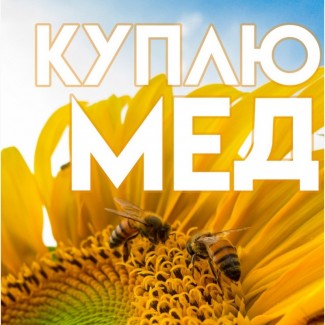 Куплю МЕД від 300 кг в Черкаській області