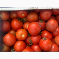 Продам терміново помідор сорт асвон ціна 11грн е 140 ящиків