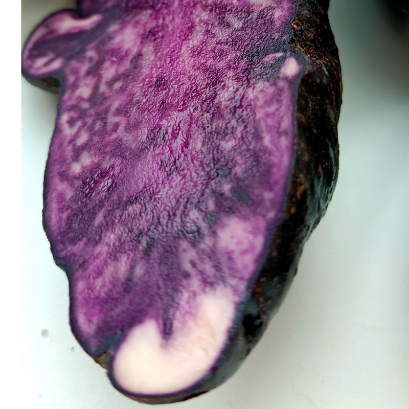Фото 2. Картопля фіолетова Вітелотт, Vitelott potato