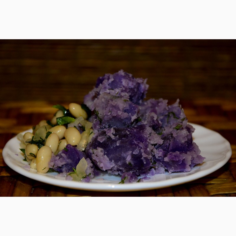 Фото 3. Картопля фіолетова Вітелотт, Vitelott potato