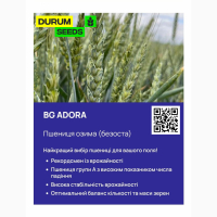 Насіння пшениці - BG Adora (пшениця м#039;яка озима) Оригінатор Biogranum, Сербія