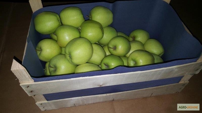Фото 11. Продажа яблок из Польши