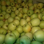 Продажа яблок из Польши
