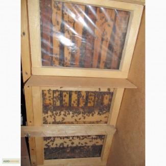 Терміново павільйон для бджіл касетного типу