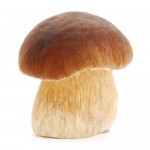 Реализую Польский гриб, Белый(білий гриб), Лисичку