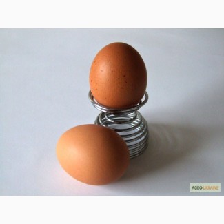 Яйцо куриное СО+, СО, С1, С2, от произодителя ОПТОМ