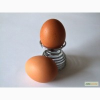 Яйцо куриное СО+, СО, С1, С2, от произодителя ОПТОМ