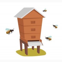 Продаю бджоли (українська степова)