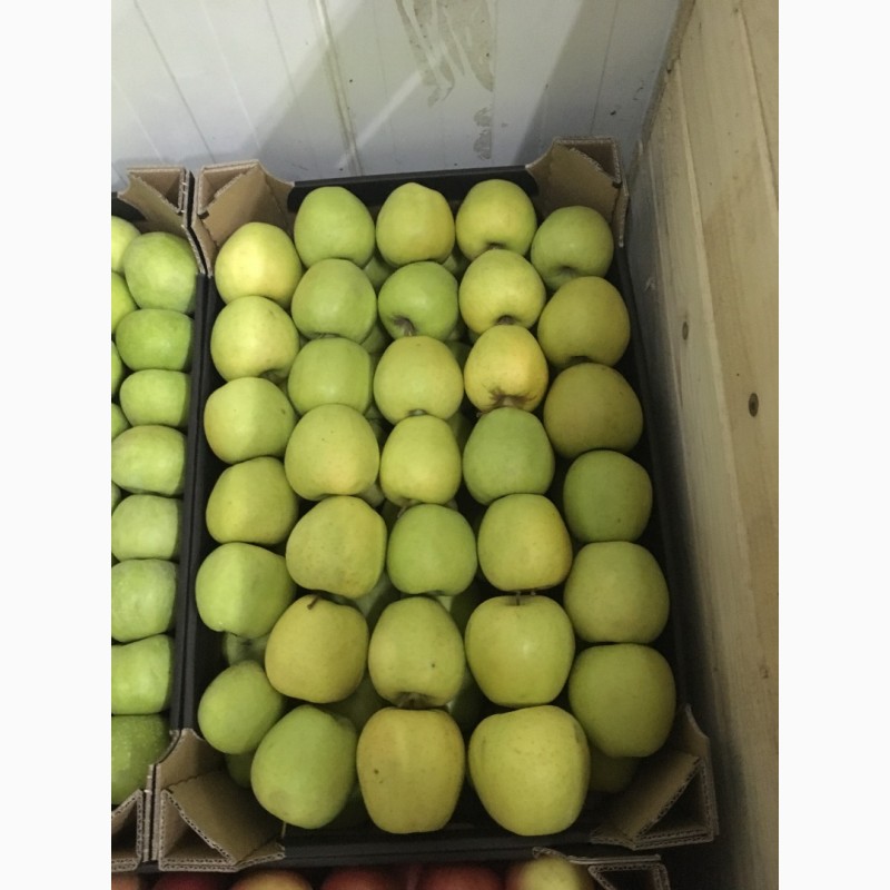 Фото 4. Продам яблука з холодильника фрешовані