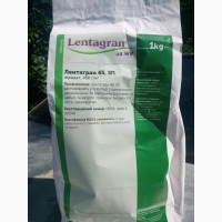Лентагран 600 - селективний гербіцид для захисту посівів кукурудзи та нуту від бур`янів