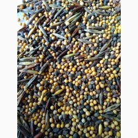 Продам некондиционное зерно: смесь горчицы и рапса