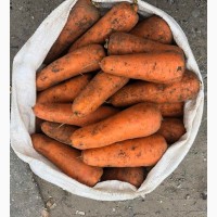 Продам Морковку ОПТ