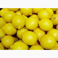 Лимон из Турции Заказывайте