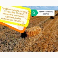 Продам ячневую, пшеничню солому вес 12-15 кг. 2021года