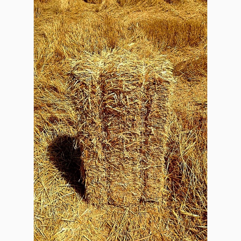 Фото 2. Продам ячневую, пшеничню солому вес 12-15 кг. 2021года