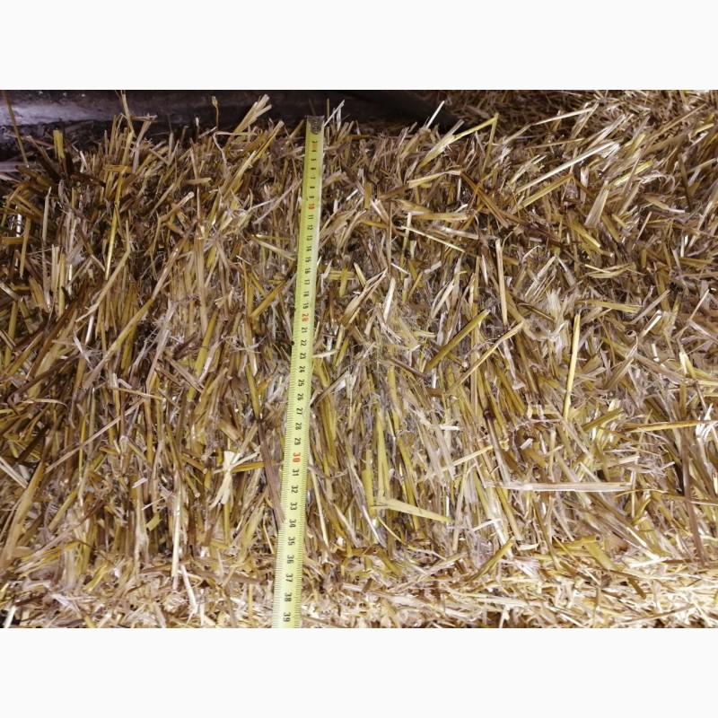 Фото 3. Продам ячневую, пшеничню солому вес 12-15 кг. 2021года