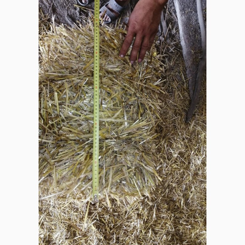 Фото 4. Продам ячневую, пшеничню солому вес 12-15 кг. 2021года