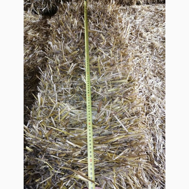 Фото 5. Продам ячневую, пшеничню солому вес 12-15 кг. 2021года
