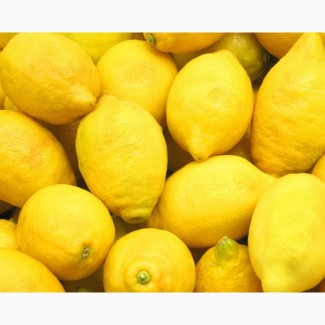 Продаем лимоны сорта Ламас оптом