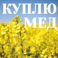 ОПТОМ куплю МЕД у Вінницькій області