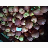 Продам яблука відмінної якості