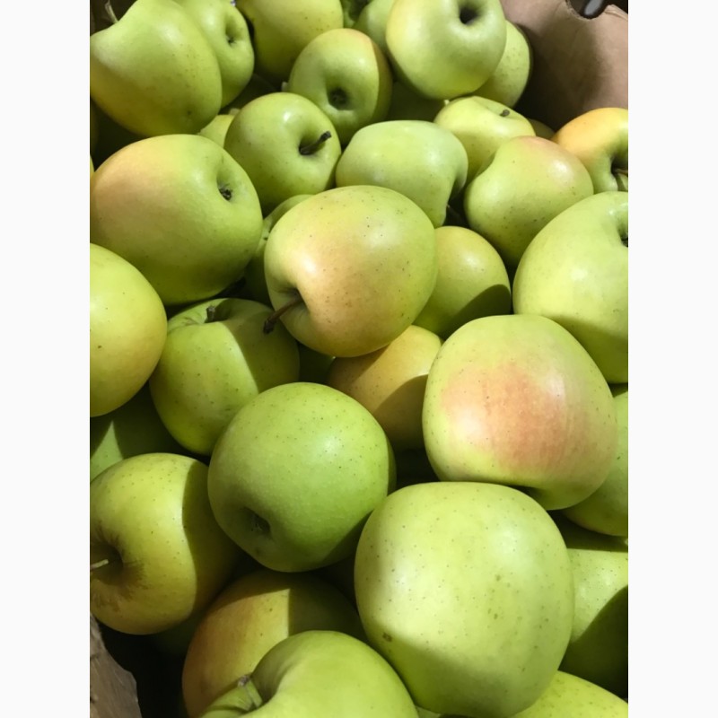 Фото 2. Газовані яблука.Фуджі, Ред Делішес, Голден