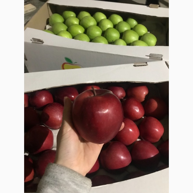 Фото 6. Газовані яблука.Фуджі, Ред Делішес, Голден