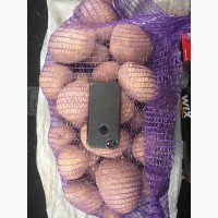 Продам Украинский товарный картофель Аризона