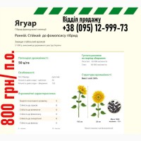 Семена подсолнечника Ягуар. Распродажа со склада 800 грн/п.е