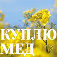 Куплю МЕД ОПТОМ у Кіровоградській області