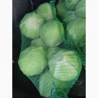 Продам товарну капусту оптом, Львівська область