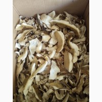 Продам із доставкою по новій пошті гриби білі сушені
